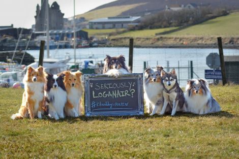 Kaylee Robertson enlisted the help of her seven dogs to show her displeasure at the price increase.