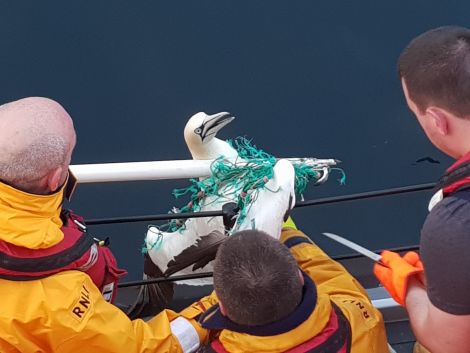 Photo courtesy of the Lerwick Lifeboat crew.