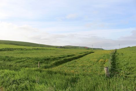 Some of the land which has been earmarked for the housing. Photo: Chris Cope/Shetland News