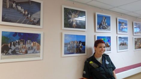 Kaylee Robertson exhibiting photos of her dogs at the Gilbert Bain Hospital.