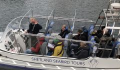 Shetland Seabird Tours are operating daily tours to Noss from Lerwick's Victoria Pier. Photo: Rebecca Nason/SST