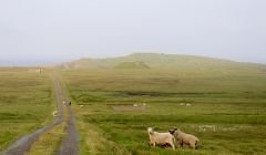 Lamba Ness could become a vertical launch site for small satellites. Photos: Chris Cope/Shetland News