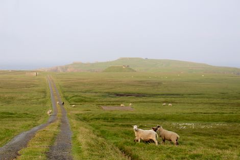 Lamba Ness could become a vertical launch site for small satellites. Photos: Chris Cope/Shetland News