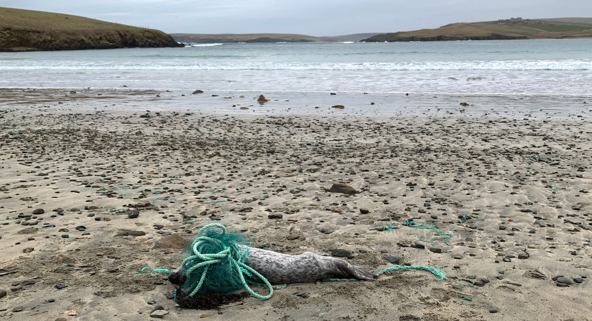 Fishing Nets -  UK