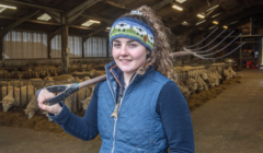 A person wearing a headband and padded vest stands in a barn holding a pitchfork over their shoulder, with sheep in the background.