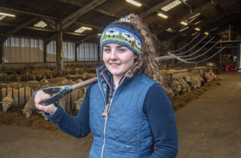 A person wearing a headband and padded vest stands in a barn holding a pitchfork over their shoulder, with sheep in the background.