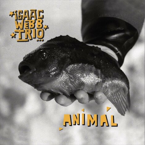 Black and white image of a gloved hand holding a fish. Text on the image reads "Isaac Webb Trio" and "Animal.