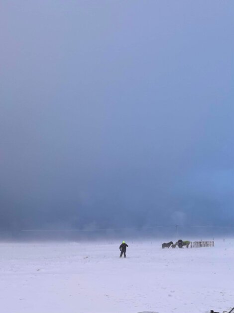 A person in a high-visibility jacket walks alone in a vast, snow-covered landscape with a distant herd of animals and structure visible.