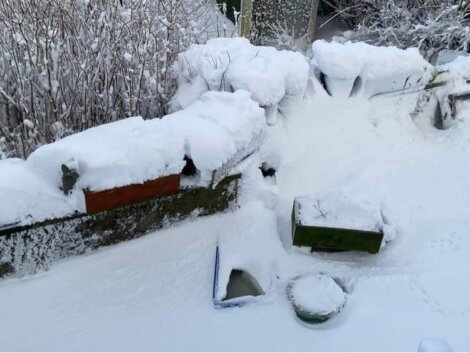 A garden covered in a thick layer of snow with buried planters and snow-laden bushes. Snow obscures most details, and footprints lead to a cleared spot in the snow.