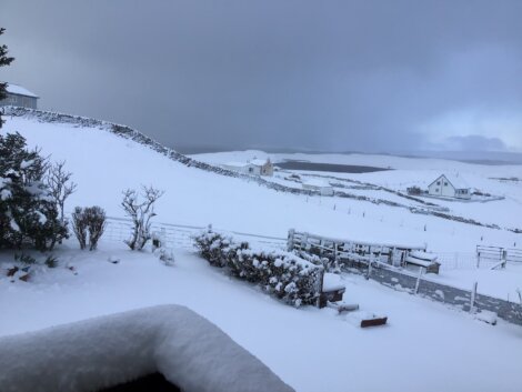 Snow-covered rural landscape with distant houses and stone fences under a cloudy sky. A garden with hedges and a tree is in the foreground.