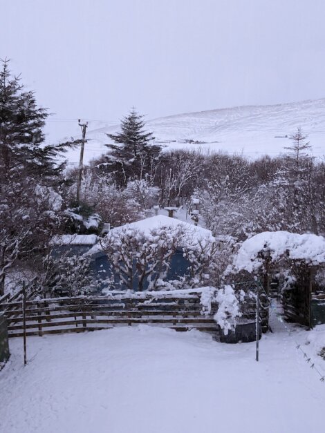 A snow-covered landscape featuring a house surrounded by trees and a wooden fence, with hills in the background.