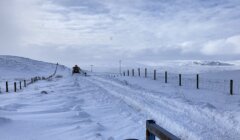 A snow-covered road is being cleared by a yellow snowplow in a rural, snowy landscape with distant hills and utility poles visible.