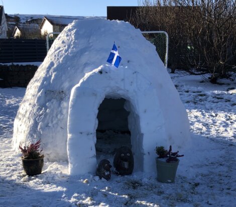 An igloo made of snow stands in a snowy yard with a small flag on top and potted plants at the entrance.