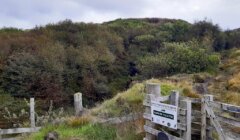 A wooden gate with a sign "Guard of Ulster" opens to a path leading into a forested area with rolling hills and cloudy sky in the background.