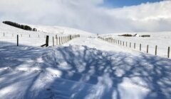 A snow-covered rural road flanked by fences extends into the distance under a partly cloudy sky, with shadows of trees cast on the snow. Snow-covered hills and a cluster of trees are visible in the background.