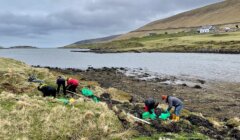 Four people in outdoor clothing clean up debris along a rocky shoreline with grassy hills and houses in the background on a cloudy day.