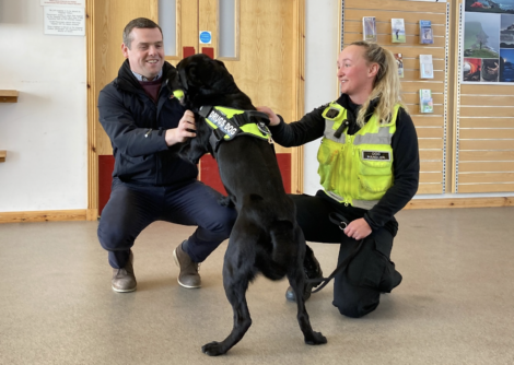 A man and a uniformed woman interact with a black dog wearing a "Working Dog" vest indoors.