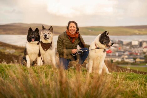 A person kneels in a grassy field with three dogs, two sitting on the left and one sitting on the right. A scenic view of hills and a town is in the background.