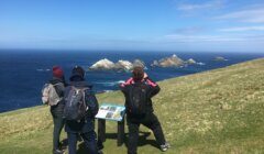 Three people in outdoor clothing stand on a grassy hill overlooking the ocean and rocky islands, with one reading an informational sign.