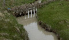 A small muddy stream flows under a short wooden bridge. Grass and dry reeds line the banks, with a wire fence running along the top.