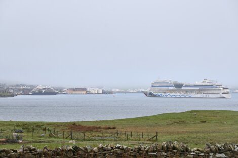 Several cruise ships are docked near a port on a foggy day. A grassy field and stone fence are in the foreground.