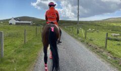 A person on horseback wearing a bright orange vest with "PLEASE PASS WIDE & SLOW" rides down a narrow country road, with grazing sheep and a house in the background.