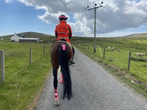 A person on horseback wearing a bright orange vest with "PLEASE PASS WIDE & SLOW" rides down a narrow country road, with grazing sheep and a house in the background.