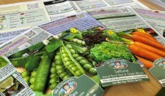 Packets of vegetable seeds, including peas, lettuce, and carrots, are arranged on a wooden surface. The packets display colorful images of the vegetables. Gardening information sheets are visible in the background.