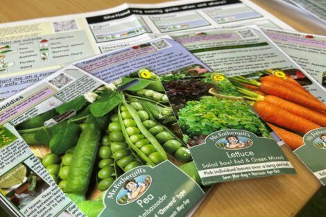 Packets of vegetable seeds, including peas, lettuce, and carrots, are arranged on a wooden surface. The packets display colorful images of the vegetables. Gardening information sheets are visible in the background.