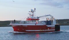 A red and white fishing vessel marked with "LK 986" navigates through calm water at dusk, with a seagull flying overhead and land visible in the background.