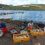 Four people cleaning and sorting fish beside the shore. Containers filled with fish are in front of them. Houses and a pier are visible in the background under a partly cloudy sky.