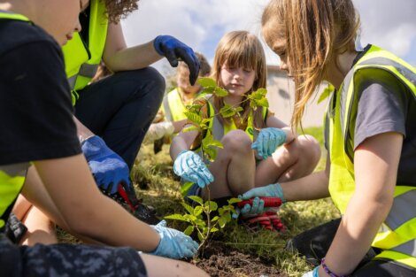 Children wearing yellow vests and gloves are planting a small tree in soil.