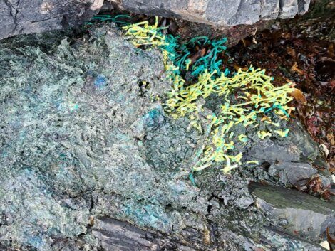 A rock surface with greenish and bluish hues, adorned with strands of yellow and teal plastic, suggesting pollution or human impact on the environment.