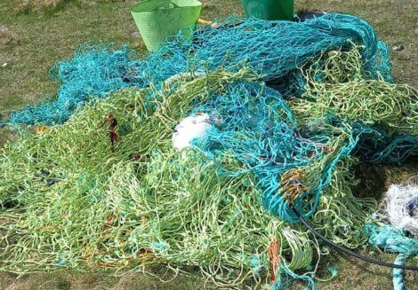 A small white animal is lying on a pile of tangled green and blue fishing nets on grass, with green buckets in the background.