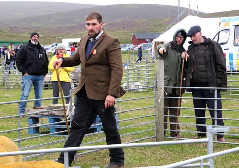 A man, holding a walking stick and dressed in a brown jacket, guides sheep in a pen while onlookers watch at an outdoor event.