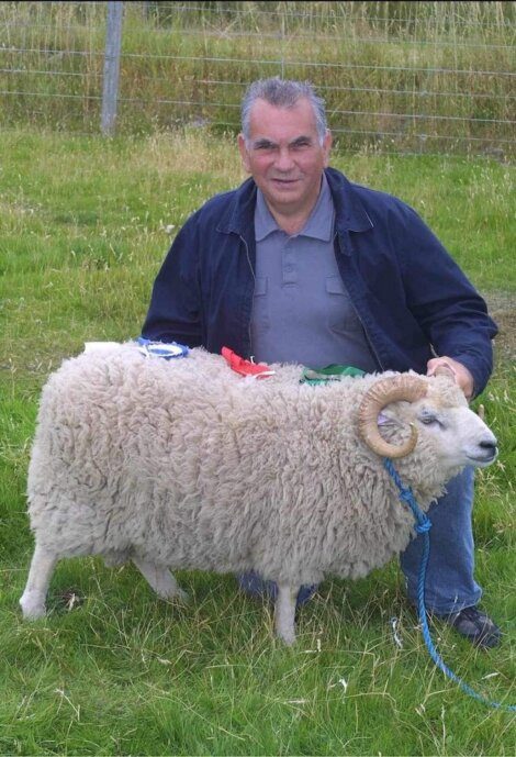 A man kneels on the grass next to a sheep with horns, holding a blue rope tied to the sheep. The sheep has ribbons placed on its back.