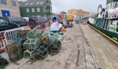 A dockside scene with fishing gear, including lobster pots and ropes, organized near a vessel. People are working in the background, and vehicles are parked nearby.