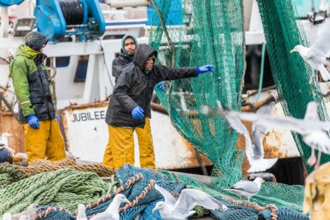 Fishermen in raincoats manage large green nets on a fishing boat while seagulls fly around.