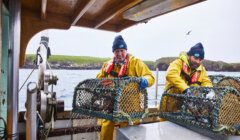 Two fishermen hauling nets on a boat.