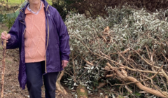 Elderly woman standing next to cut branches, holding a walking stick.