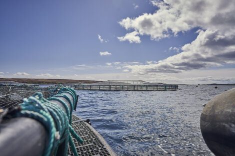 A fishing net in the water.