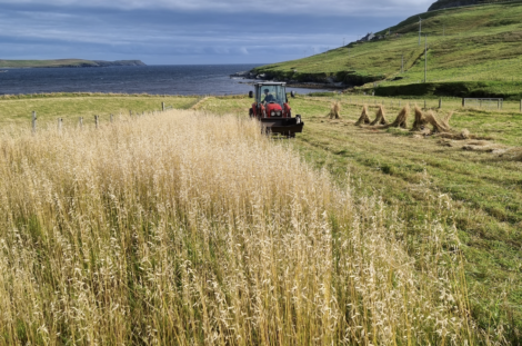 A tractor driving through a field near the ocean.