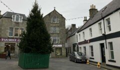 A street in scotland with a tree in the middle.