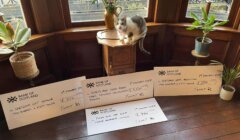 A cat sits on a wooden floor with two cheques in front of it.