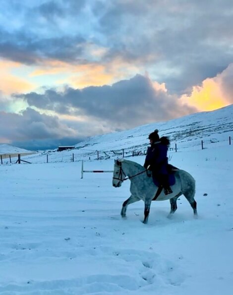 A man riding a horse in the snow.