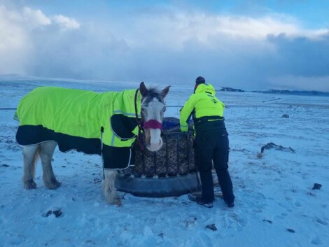 A man in a yellow jacket is standing next to a horse in the snow.