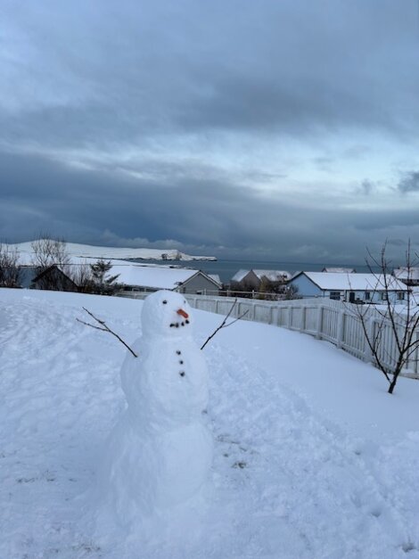 A snowman in a backyard with a blue sky.