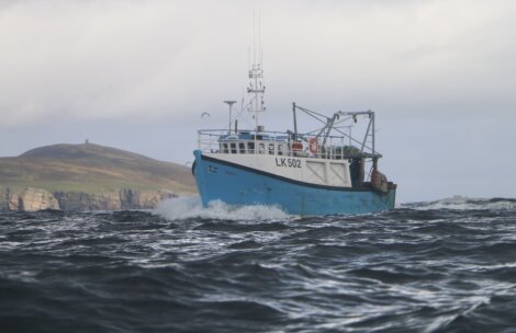 A blue and white boat in the ocean.