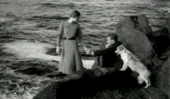 A man and woman standing on rocks next to a dog.