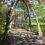 A large arch bridge in a park.